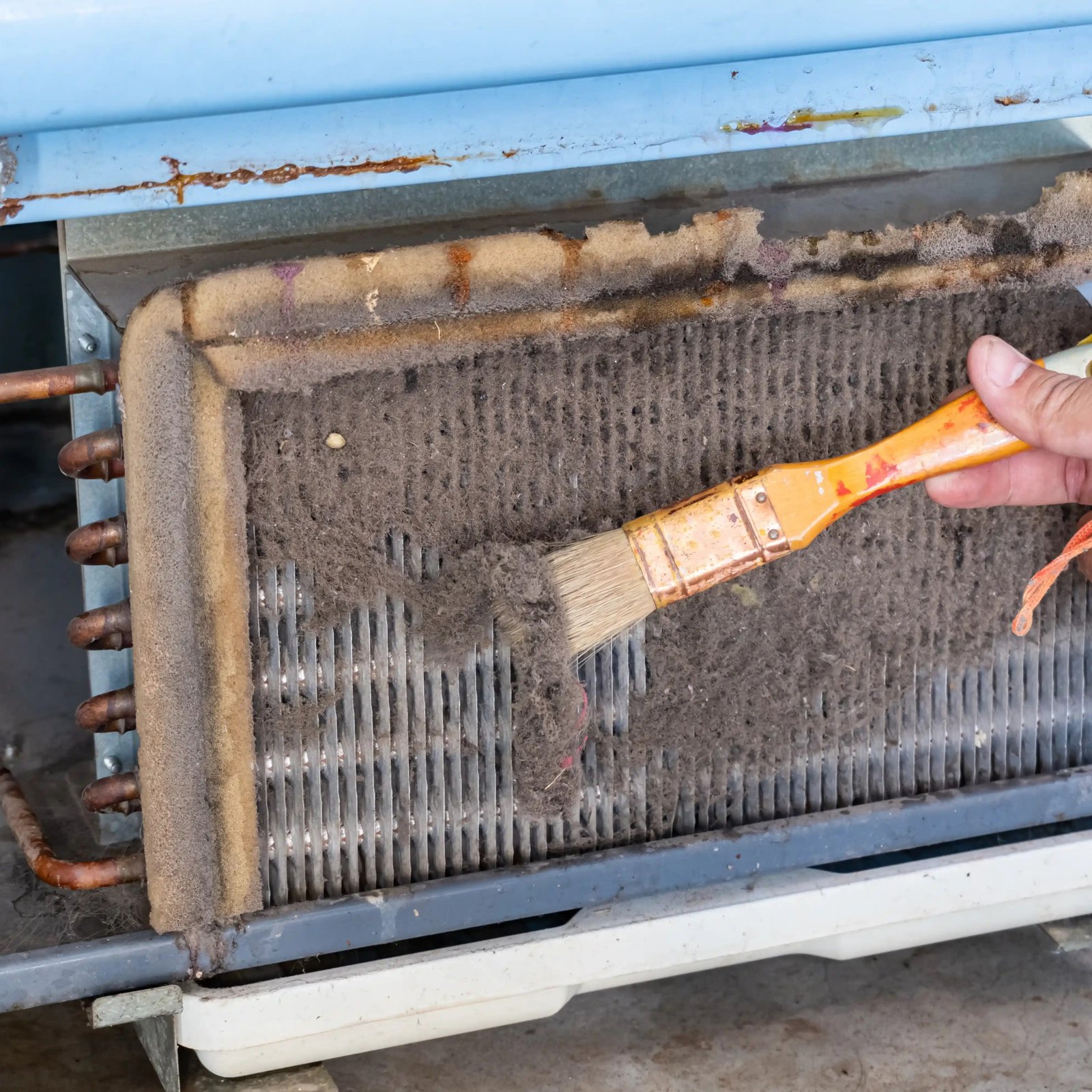 Technician cleaning a dirty evaporator coil.