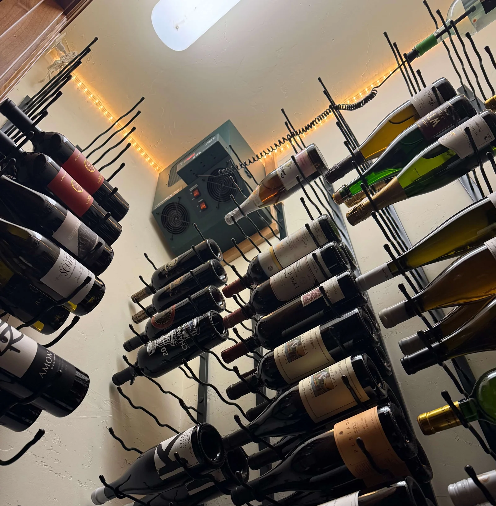 Technician inspecting a wine cellar cooling system.